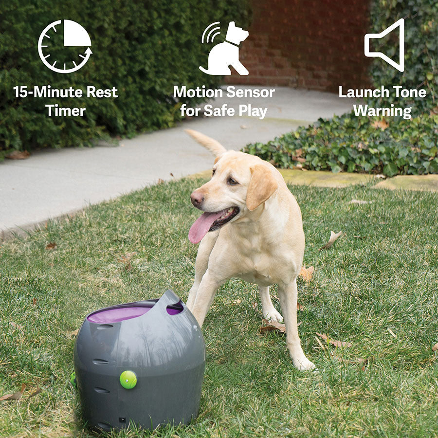 PetSafe Automatic Ball Launcher – Dog Tennis Ball Thrower with Adjustable Distance for Outdoor & Indoor Play