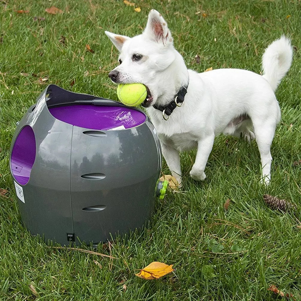 PetSafe Automatic Ball Launcher – Dog Tennis Ball Thrower with Adjustable Distance for Outdoor & Indoor Play